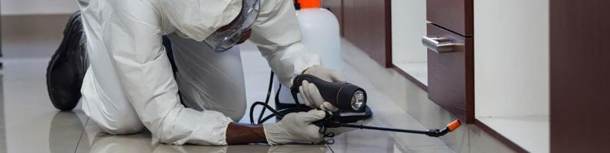 Dedetização Profissional
