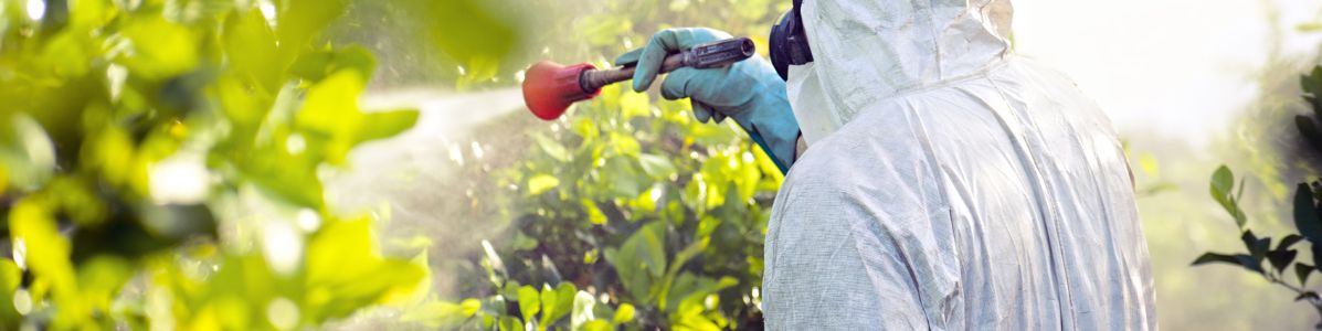 Fumigação Profissional