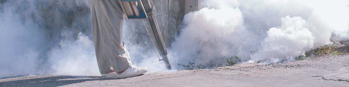 Termonebulização Profissional