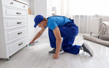 Execução do serviço de dedetização com equipe especializada