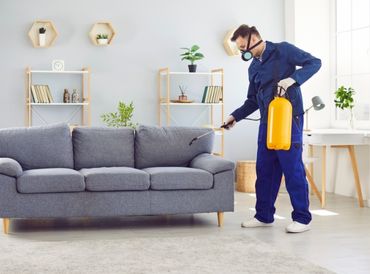 Serviços residenciais de controle de pragas