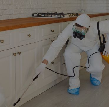 Proteção contra cupins