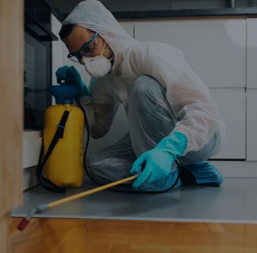 Controle de ratos e camundongos