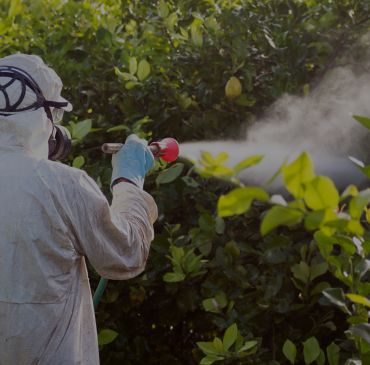 Termonebulização de ambientes