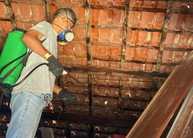 Controle de pragas em indústria