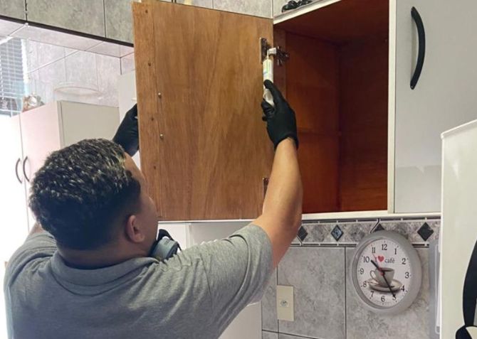 Inspeção de pragas em residências