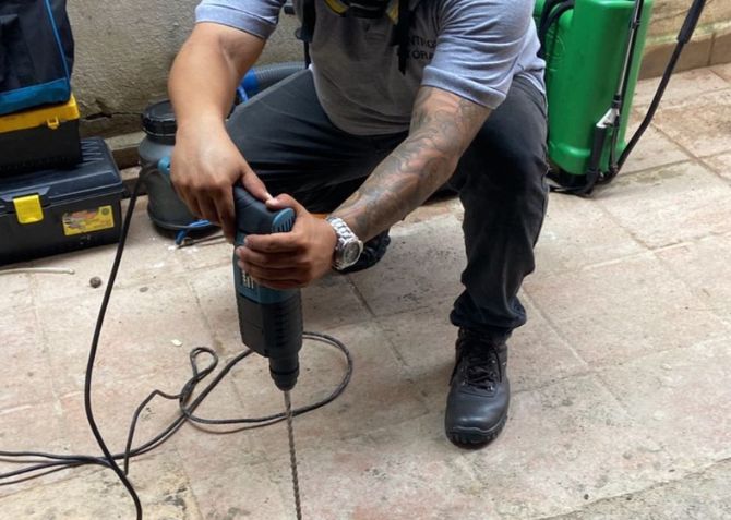 Equipe especializada em controle de insetos