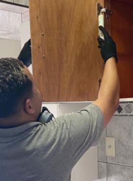 Descupinização realizada pela Dedetizadora em Litoral